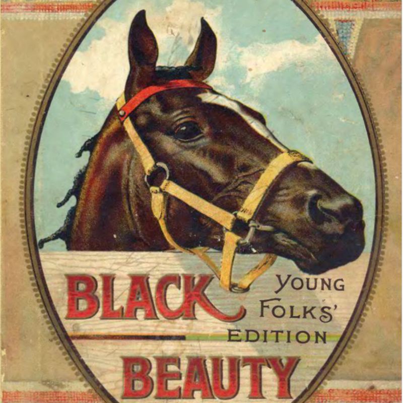 Black Beauty Young Folks Edition